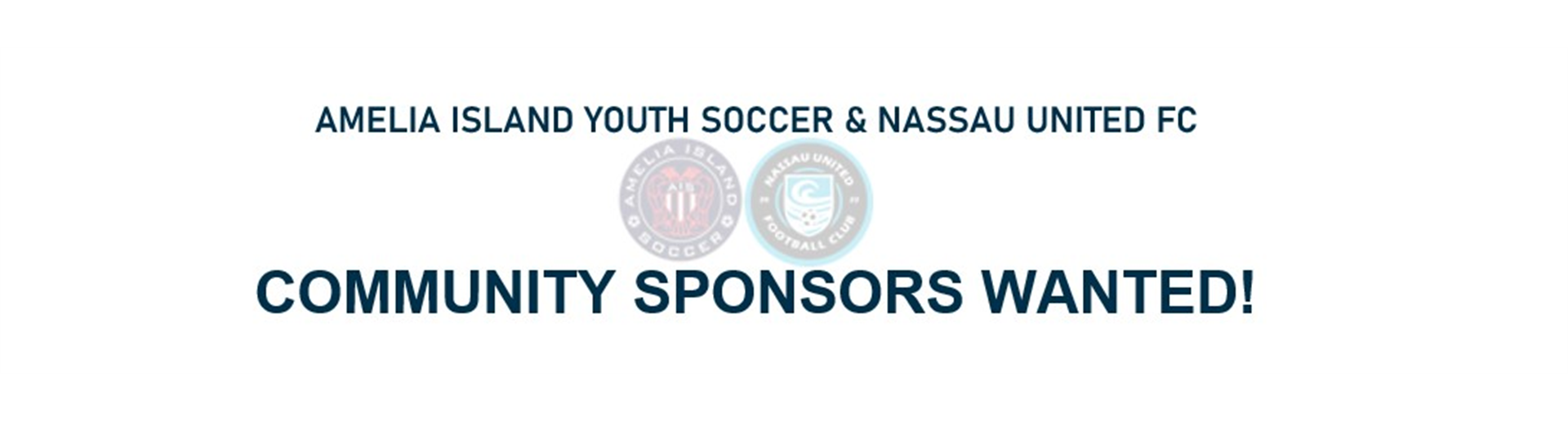 Support Youth Soccer!